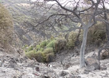 Incendi: il presidente della Regione coordina le operazioni dalla sala operativa della Protezione civile