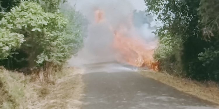 Devastante incendio ad Abbasanta, evacuato un campo scout, sul posto elicotteri e 4 Canadair della flotta regionale