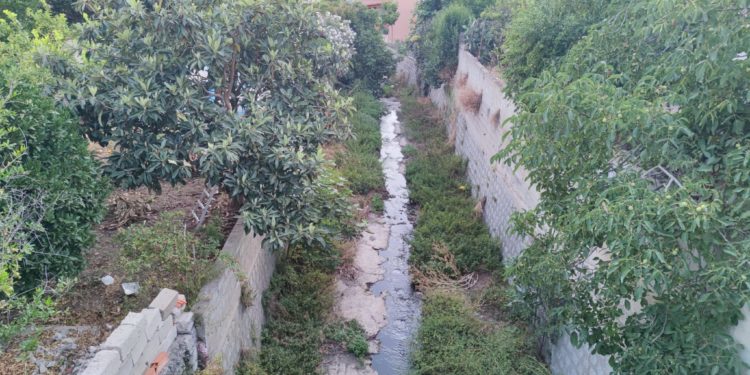 Valentino Carta (Pd): «L’argine comunale abbandonato a se stesso, così non si valorizza Oliena»