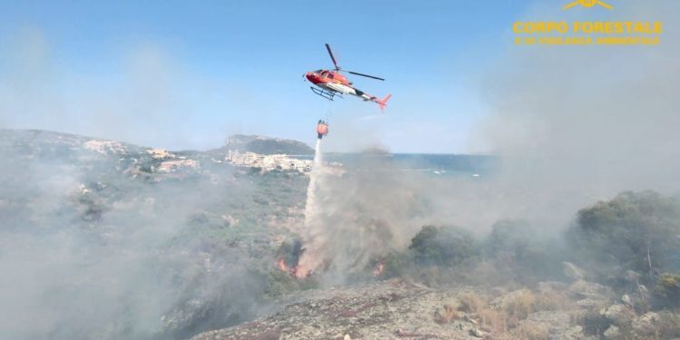 Incendio nelle campagne di Sorgono, sul posto il Corpo forestale