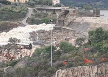 Consorzio di Bonifica della Sardegna Centrale: il bilancio è stato chiuso con 2 milioni di euro in attivo e i ruoli più bassi della Sardegna