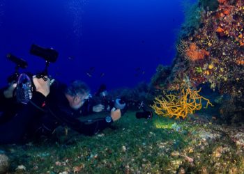 Alghero, lunedì “Mediterranea. Culture, scambi, passaggi” incontra “La grande strada azzurra”