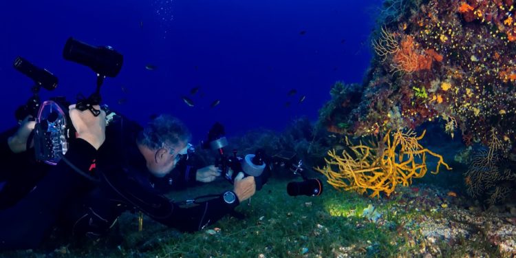 Alghero, lunedì “Mediterranea. Culture, scambi, passaggi” incontra “La grande strada azzurra”