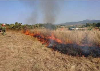 Incendi in Sardegna: raccolta fondi delle ACLI provinciali di Oristano