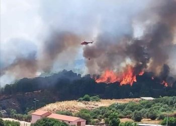 Incendi in Sardegna: raccolta fondi delle ACLI provinciali di Oristano