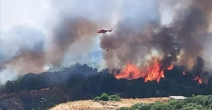 Incendi in Sardegna: raccolta fondi delle ACLI provinciali di Oristano