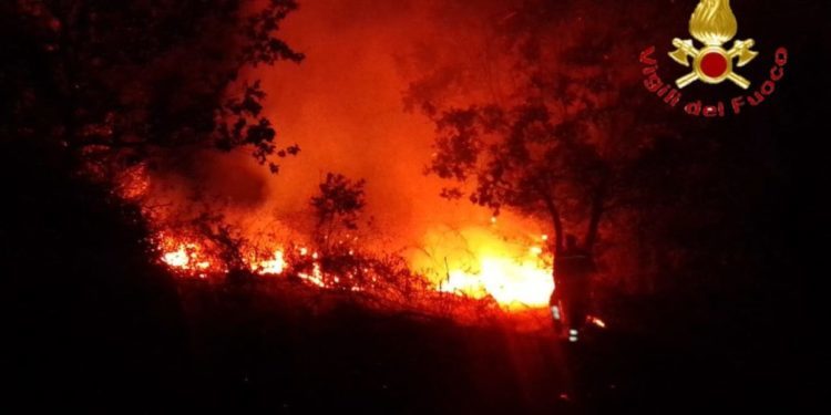 Incendi nel Marghine, parte l’operazione solidarietà di Coldiretti Nuoro Ogliastra