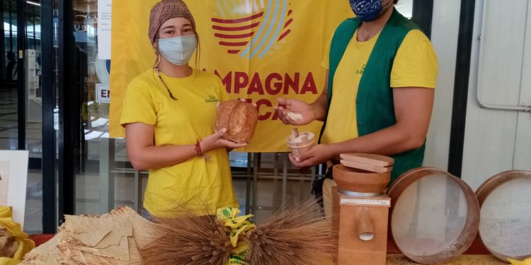 Coldiretti Sardegna: «Meno produzione, ma cresce la richiesta di Grano Made in Italy»