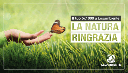 Legambiente si mobilita in favore degli apicoltori colpiti dagli incendi