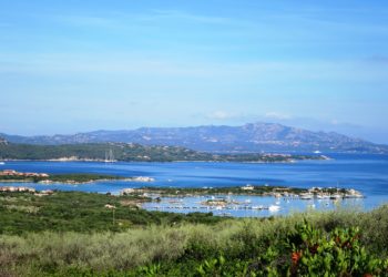 Vaccini e green pass per l’estate sarda, ecco la posizione di Confindustria Centro Nord Sardegna