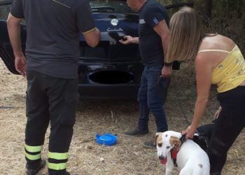Birori: si chiudono accidentalmente le portiere dell’auto, i vigili del fuoco salvano due cani