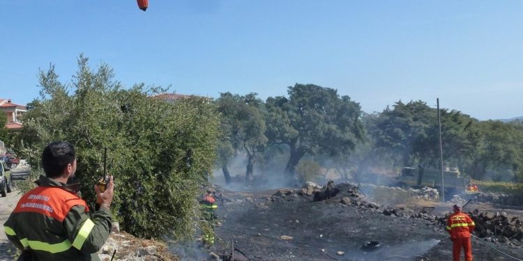 Incendio nelle campagne di Nurri, sul posto il Corpo forestale