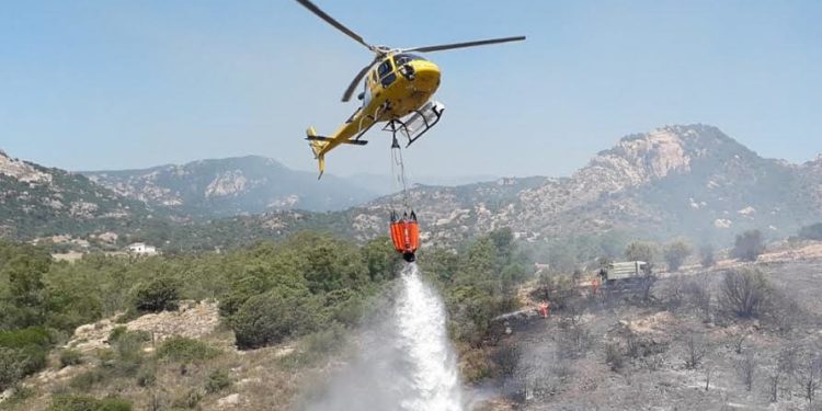 ADM e le campagne antincendi nella Regione Autonoma della Sardegna