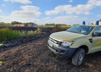 Incendio nelle campagne di Quartucciu, interviene il Corpo forestale