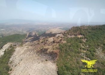 Oggi, su un totale di 18 incendi sviluppatisi sul territorio regionale, 7 hanno richiesto l’intervento di mezzi aerei del Corpo forestale