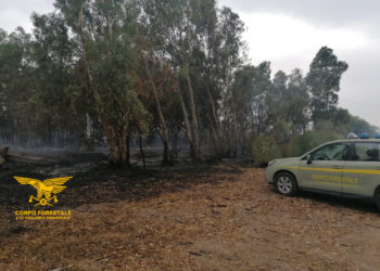 Gli agenti forestali della Regione hanno arrestato in flagranza di reato un altro incendiario, è un agricoltore di 56 anni di Serramanna