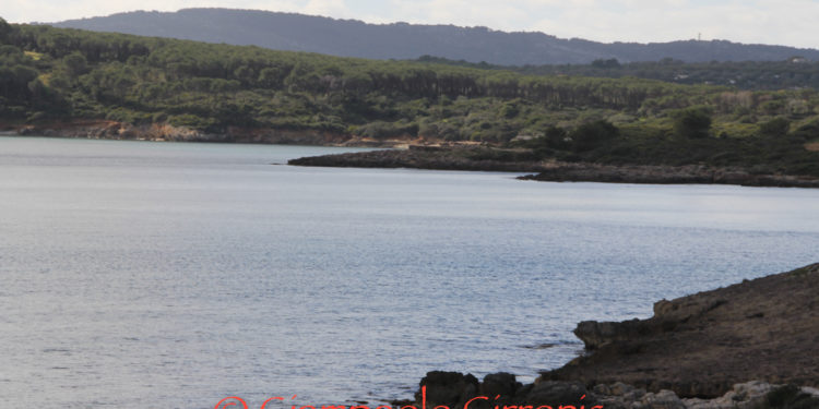 Alghero. Il Comune: «Preparare il terreno per il prossimo appalto per la raccolta dei rifiuti delle utenze commerciali»