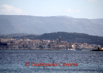 Alghero. Il Comune: «Preparare il terreno per il prossimo appalto per la raccolta dei rifiuti delle utenze commerciali»