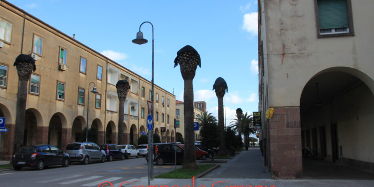 Alghero. Il Comune: «Preparare il terreno per il prossimo appalto per la raccolta dei rifiuti delle utenze commerciali»