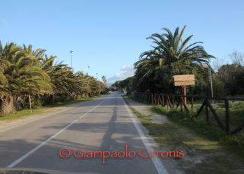 Alghero. Il Comune: «Preparare il terreno per il prossimo appalto per la raccolta dei rifiuti delle utenze commerciali»