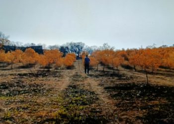 “L’ombra del fuoco”, ecco il documentario di Enrico Pau sugli incendi nel Montiferru