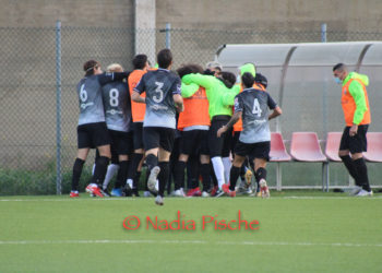 Latina, Lucchese, Fidelis Andria e Siena ripescate in Lega Pro; Borgosesia, Tritium e Nola ripescate in serie D