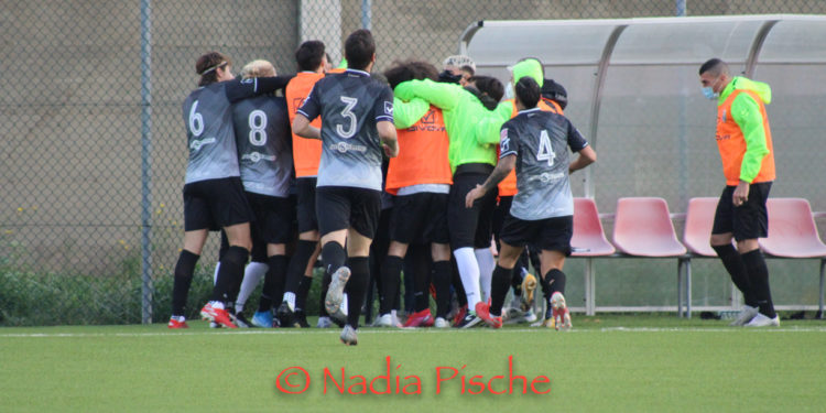 Latina, Lucchese, Fidelis Andria e Siena ripescate in Lega Pro; Borgosesia, Tritium e Nola ripescate in serie D