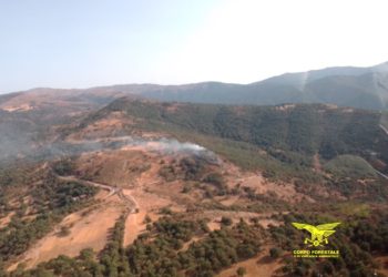 Oggi, su un totale di 10 incendi sviluppatisi sul territorio regionale, 2 hanno richiesto l’intervento dei mezzi aerei del Corpo forestale