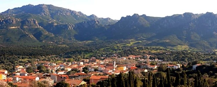 Hermaea a Padru per il ritiro pre-campionato