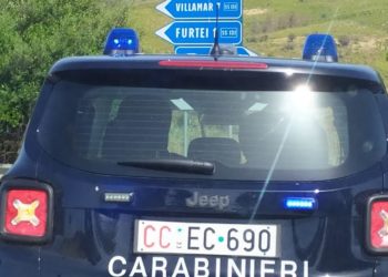 Ieri sera, a Villamar, un’auto condotta da un 58enne di Guasila ha investito un cavallo, finito incustodito senza finimenti al centro della carreggiata