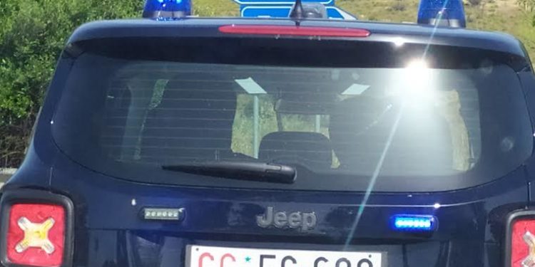 Ieri sera, a Villamar, un’auto condotta da un 58enne di Guasila ha investito un cavallo, finito incustodito senza finimenti al centro della carreggiata