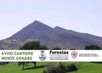 Orani: al via il cantiere di Forestas nel bosco comunale del Monte Gonare