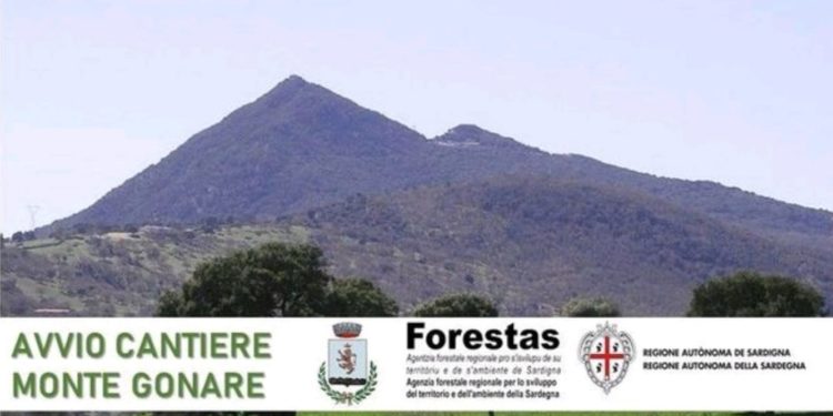 Orani: al via il cantiere di Forestas nel bosco comunale del Monte Gonare