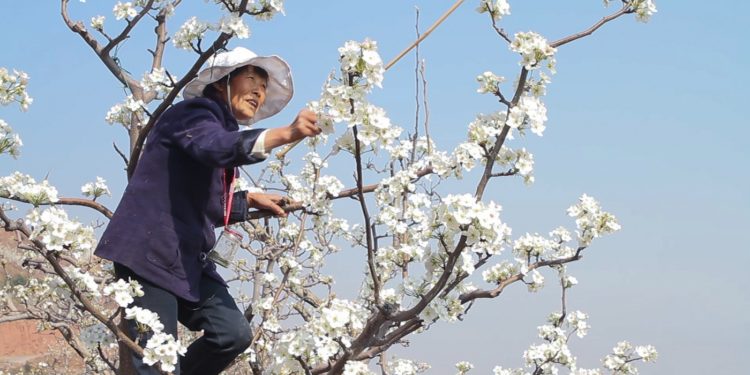 Il festival Life After Oil approda a Villanovaforru