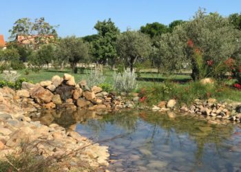 A Pula conclusi i lavori di forestazione urbana, 16.000 mq di area verde nella strada per Nora