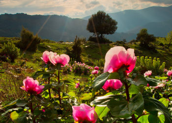 Non solo bici. Tre Comuni ed una ciclovia: Seulo, Escolca e Villanova Tulo, uniti in un progetto di turismo attivo, ambientale e culturale