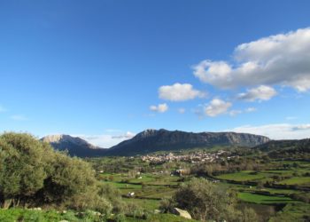 Lula in festa per San Francesco