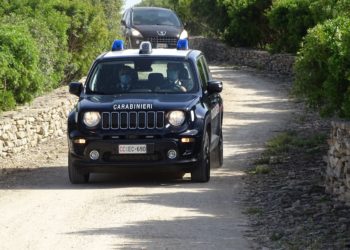 Nuova operazione dei carabinieri del Nucleo Ispettorato del Lavoro di Cagliari contro il lavoro nero in agricoltura