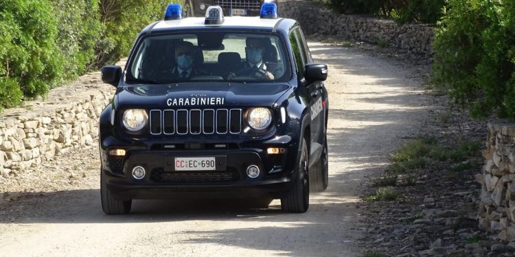 Nuova operazione dei carabinieri del Nucleo Ispettorato del Lavoro di Cagliari contro il lavoro nero in agricoltura