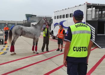 I funzionari ADM di Cagliari hanno espletato rapidamente le operazioni doganali all’aeroporto di Elmas per il team Endurance degli Emirati Arabi Uniti
