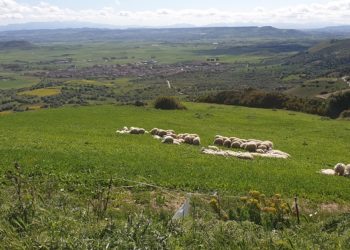 Marmilla: prosegue il progetto di costituzione del Distretto Rurale