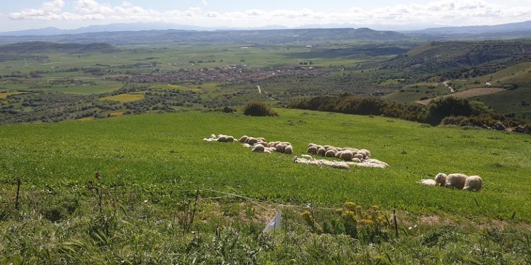 Marmilla: prosegue il progetto di costituzione del Distretto Rurale