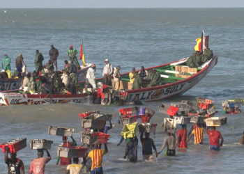 Sono aperte fino al 23 settembre le iscrizioni all’edizione 2021 del Fiorenzo Serra Film Festival