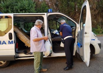 Sassari: dalla Polizia locale una culla per un neonato afgano