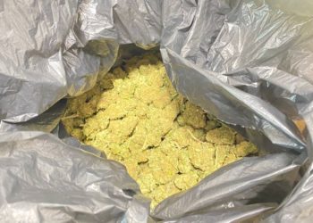 Un operaio 59enne di Monserrato è stato arrestato dai carabinieri per coltivazione e detenzione ai fini di spaccio di sostanza stupefacente