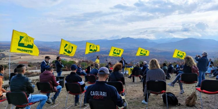 A Sennariolo gli Oscar Green di Coldiretti Sardegna