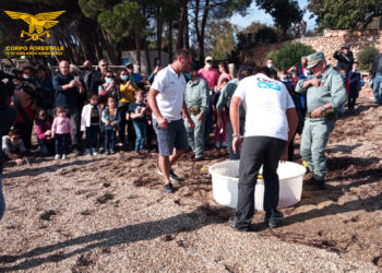Il personale del Corpo forestale regionale stamane ha collaborato alle fasi di liberazione di una tartaruga Caretta caretta