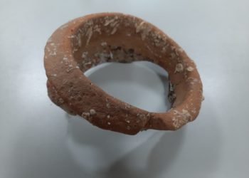 I funzionari ADM di Sassari e i militari della Guardia di Finanza del Gruppo di Olbia hanno sequestrato un reperto marino