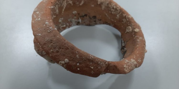 I funzionari ADM di Sassari e i militari della Guardia di Finanza del Gruppo di Olbia hanno sequestrato un reperto marino