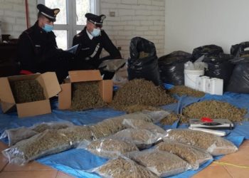 A Villasor i carabinieri hanno arrestato due persone per produzione e detenzione di stupefacenti in concorso